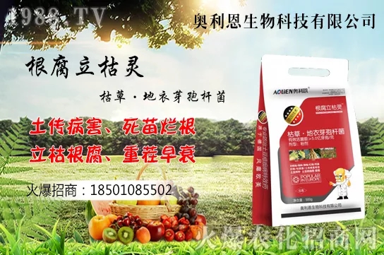 果樹(shù)栽培四大誤區(qū)有哪幾點(diǎn)？如何提高果樹(shù)栽植的成活率？