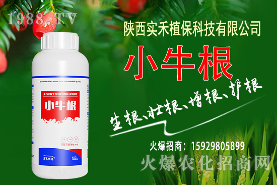 各地區(qū)尿素價(jià)格行情報(bào)價(jià)一覽(10月29日)