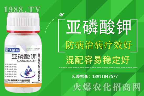 氮磷鉀主要的作用是什么？三者之間有什么關(guān)注？