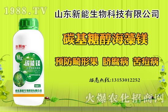 冬季大棚草莓畸形果原因，出現(xiàn)畸形果怎么防治？