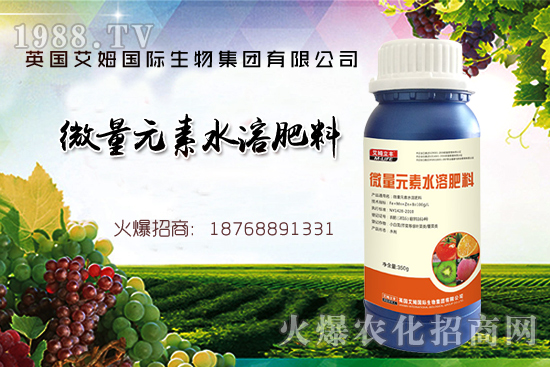 鐵、鋅、硼缺失癥狀，怎么補(bǔ)充作物所需元素？