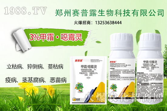 為什么霜霉病、猝倒病易發(fā)？難防治？