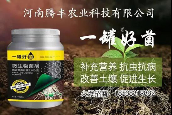 葛根種植幾年可以賣(mài)，高產(chǎn)葛根種植方法！