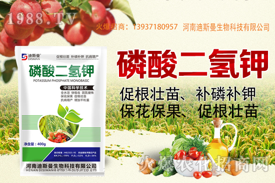 小麥報價！2020年10月7日小麥價格！