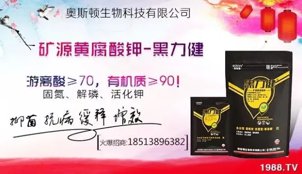 大蒜什么時間播種？注意事項有哪些？各地大蒜種植時間表！