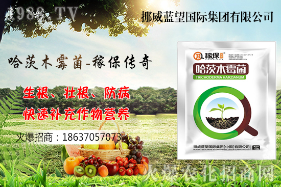 收獲后的小麥如何儲(chǔ)存呢？小麥儲(chǔ)藏關(guān)鍵點(diǎn)管理！