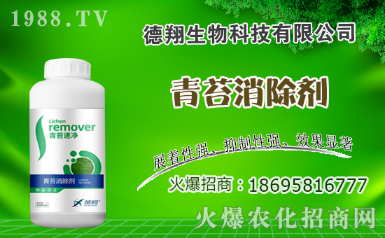 油菜什么時間種植,油菜種植方法是什么?有哪些注意事項?