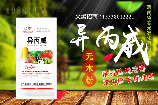 蒜苗種植前景及怎么樣？蒜苗種植要點(diǎn)及田間管理！