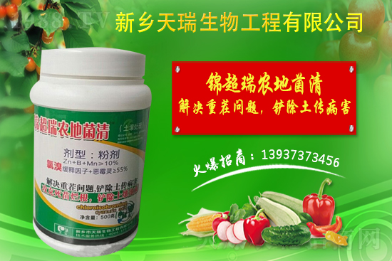 洋蔥如何施肥?洋蔥施肥方法及播種時(shí)間!