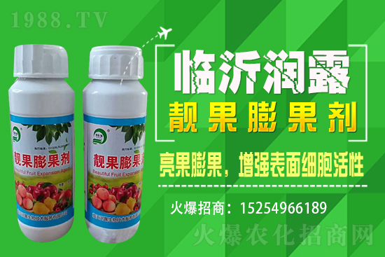 水稻價格野蠻上漲，漲價原因已揭開，能漲到1.6嗎？