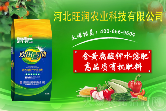 果園反光膜怎么鋪效果好？果園鋪反光膜五要點(diǎn)！