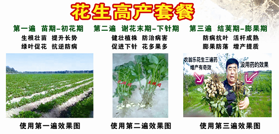 花生高產(chǎn)套餐-農(nóng)翁樂(lè)