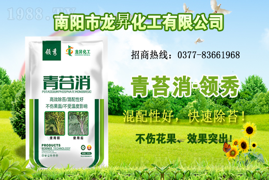 大豆供不應(yīng)求，價(jià)格持續(xù)上漲！各地大豆價(jià)格行情