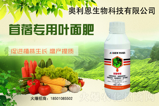 苜蓿越冬肥怎么施？苜蓿的施肥管理