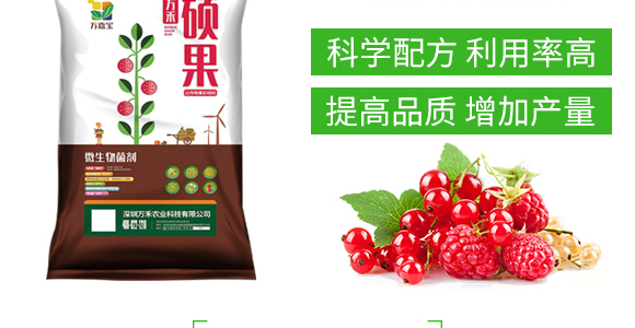 顆粒硼-雷效-嘉田農(nóng)業(yè)_04