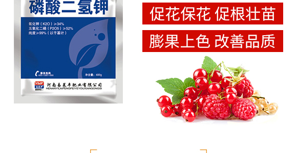 ��������-���R�S_04