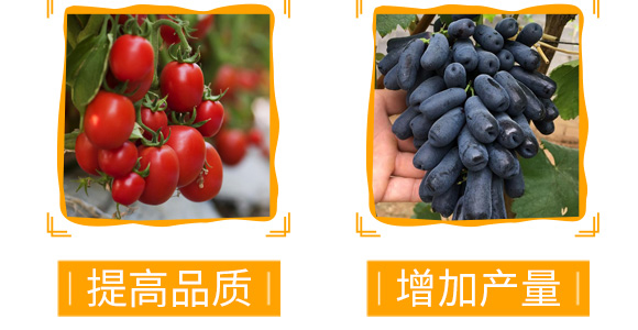 �����������a(ch��n)��-������-��٤�z_07