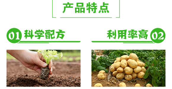 植物生長轉(zhuǎn)移素-彩壯-民德利華_05