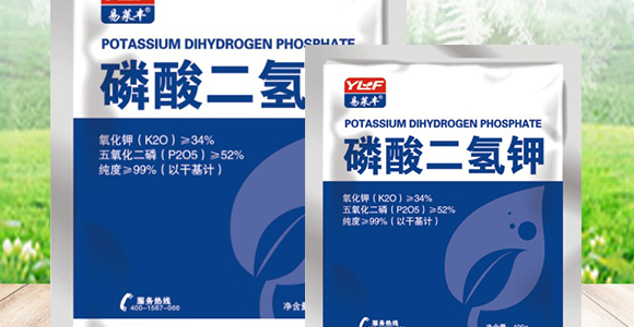 ��������-���R�S_02