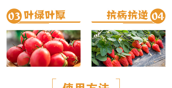 磷酸二氫鉀-易萊豐_06