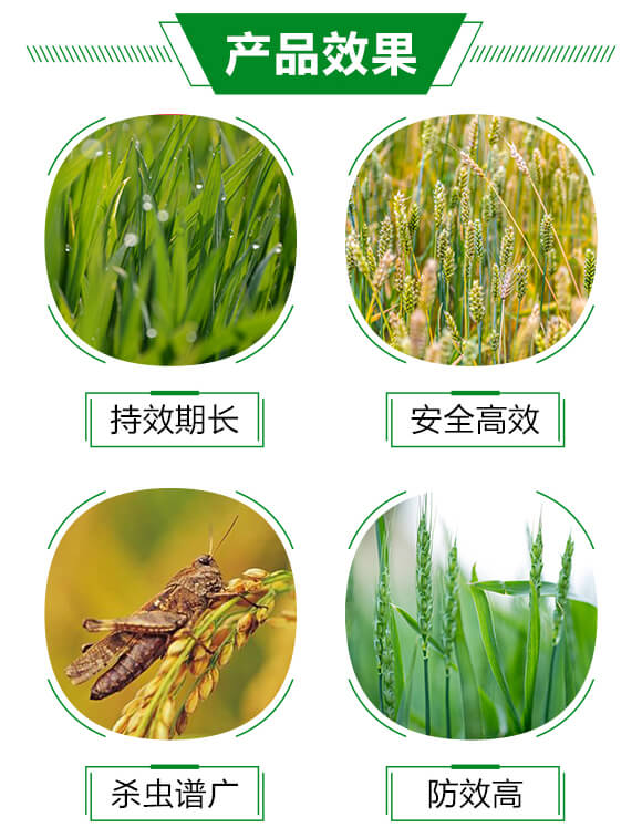 10%蟲螨腈-旗之星_03