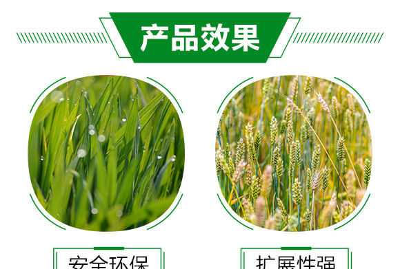 農(nóng)用有機(jī)硅助劑-速展(瓶裝)-愛農(nóng)斯達(dá)_05