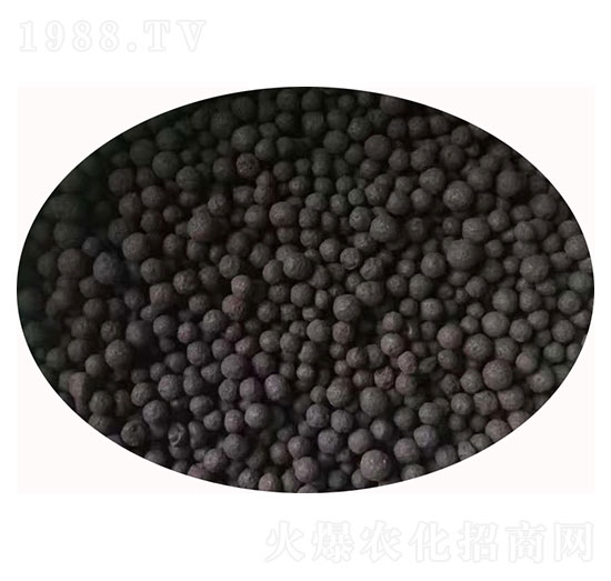 菌體蛋白復合微生物肥料顆粒-黑珍珠-佰潤肥業(yè)