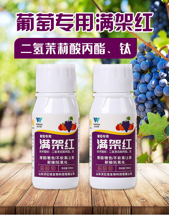 ���ь��ÝM�ܼt-�֠���(y��u)_01