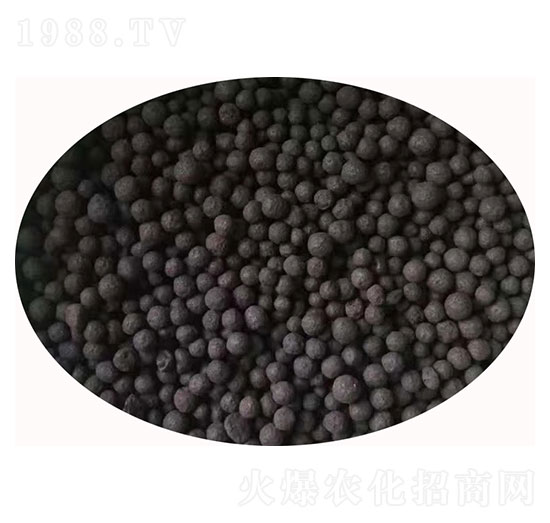 復合微生物肥料顆粒-豆勁十足-佰潤肥業(yè)