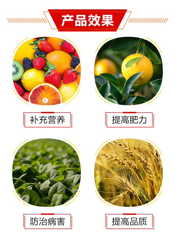 柑橘專用型含氨基酸水溶肥料-奧必欣-奧萊斯_03