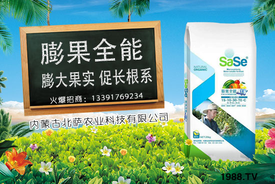 菜椒要怎么種植？菜椒生長(zhǎng)條件及種植技術(shù)！