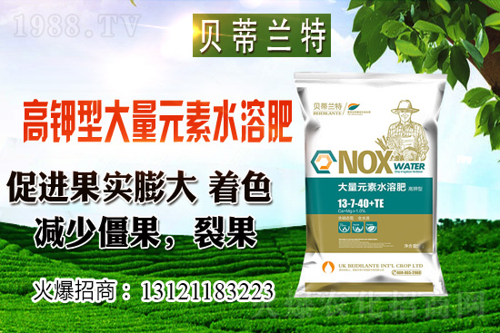 2020年12月小麥價格預測(附今日小麥價格介紹)