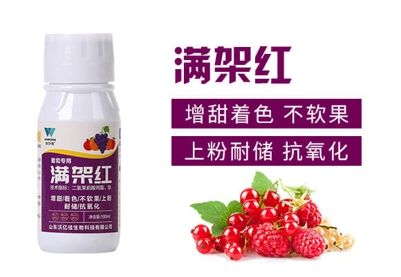 ���ь��ÝM�ܼt-�֠���(y��u)_02