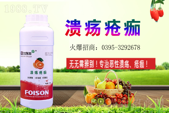 2021年石榴種植收益如何？石榴的利潤前景怎么樣？