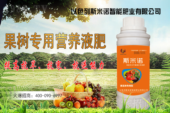 大豆價格持續(xù)“高漲”？今日東北大豆報價一覽！