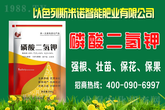 柑橘什么時間施肥?柑橘的施肥時間及用量介紹!