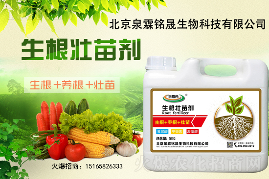 2020-11-26日國內(nèi)部分產(chǎn)區(qū)花生價格行情