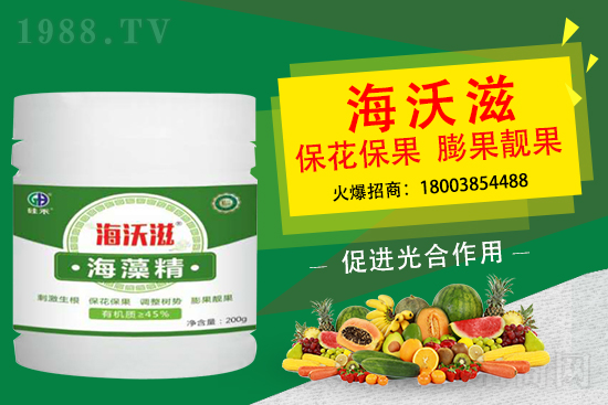 造成草莓果小是什么因素？怎么促進草莓膨果呢？