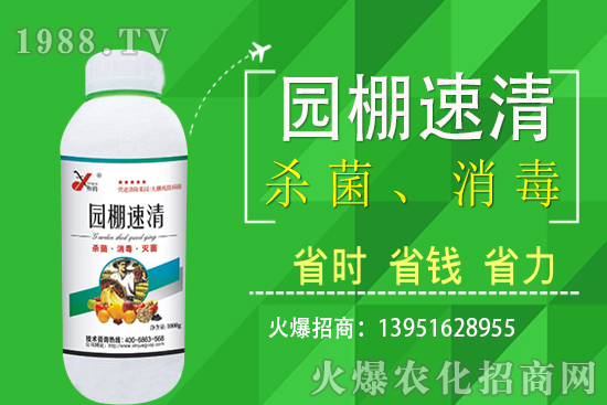 2020年11月5日局部花生價格報道！