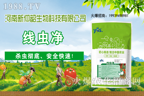 11月6日國內小麥價格大多穩(wěn)，局部小幅波動！