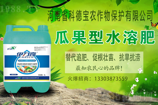 江西贛南臍橙什么時(shí)候成熟上市？如何挑選贛南臍橙？