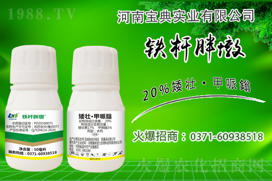 小麥冬前旺長(zhǎng)有什么危害？采取什么措施能有效防徒長(zhǎng)？