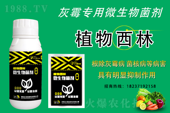 灰霉病不好治的原因，怎么做防治效果好？