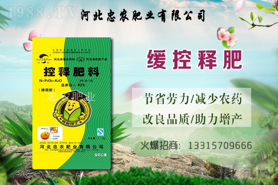 大蒜的產(chǎn)地在哪？種一畝地大蒜要用多少蒜種？畝產(chǎn)量是多少斤？