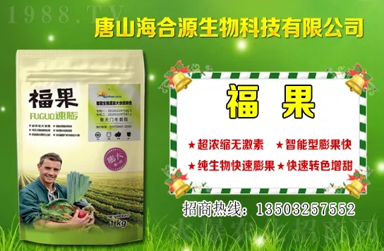 目前小麥?zhǔn)召彾嗌馘X一斤？小麥價(jià)格行情如何？