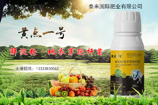 黃瓜葉片起“小黃點(diǎn)”是什么病?防治方案有哪些?