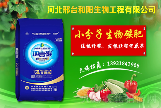 春節(jié)前小麥價格會不會漲？今日小麥價格行情！