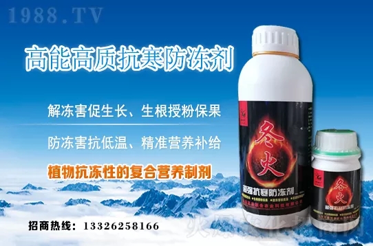 早春韭菜如何施肥？韭菜施肥方法和注意事項！