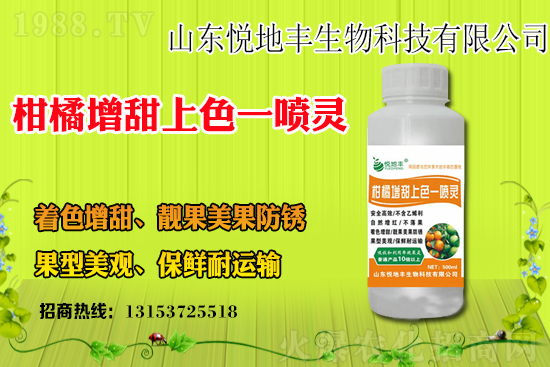 今年水稻價格多少錢一斤？水稻價格為何上漲？