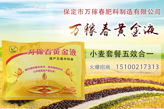 種植大蒜為什么要覆蓋地膜？地膜大蒜高產(chǎn)栽培及注意事項(xiàng)！